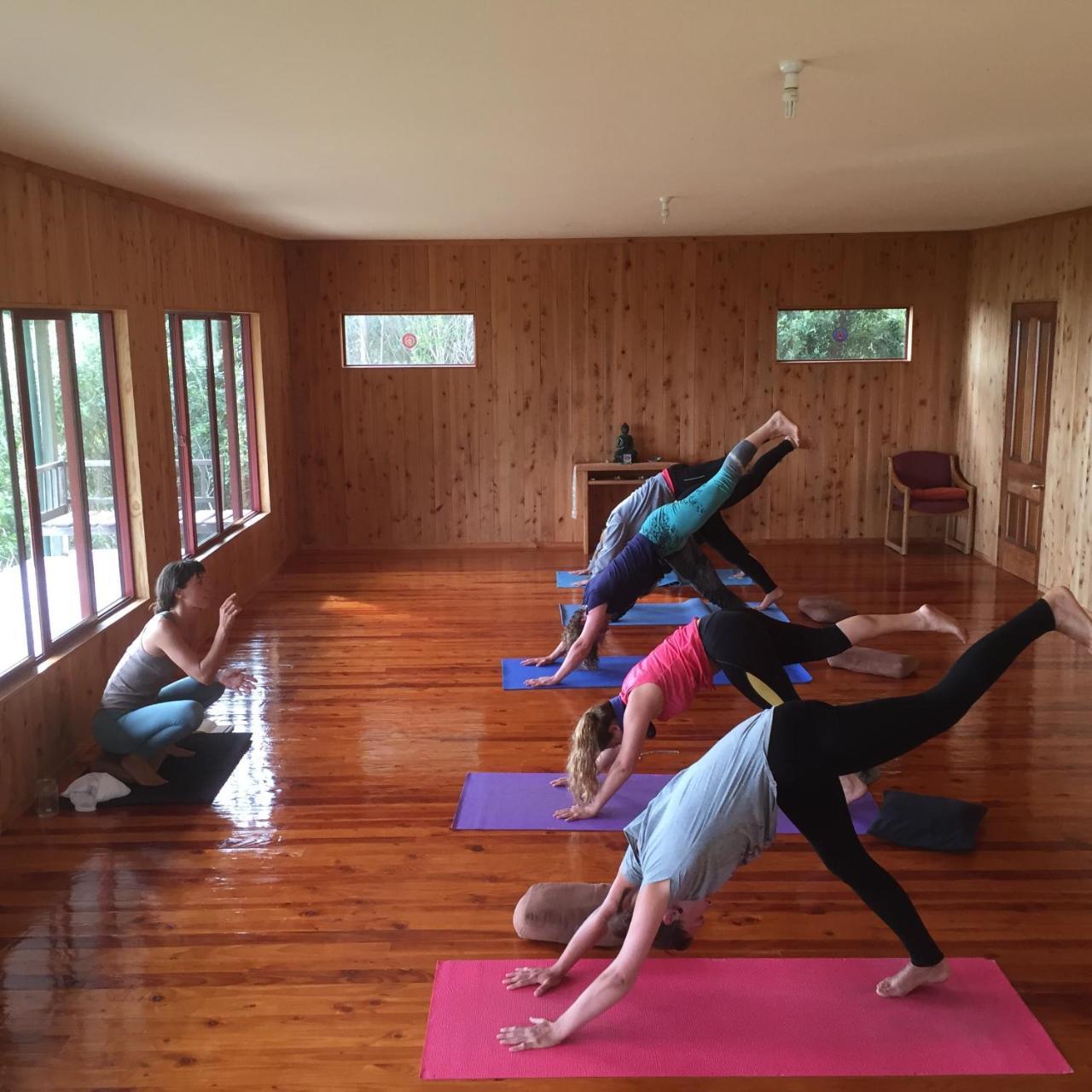 Shambhala Cabins Onekaka 外观 照片